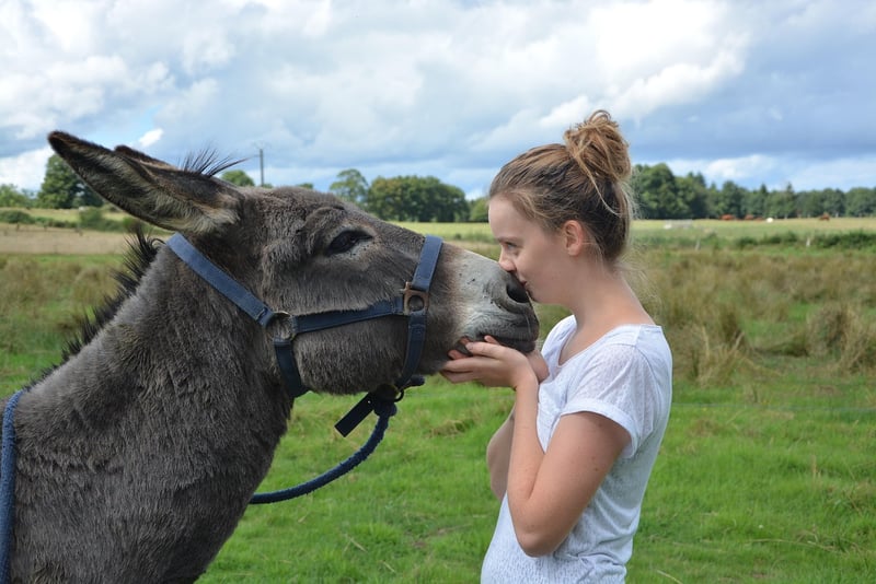 Magical Kisses